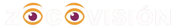 Zocovisión