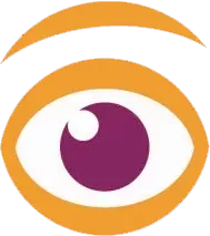 Zocovision
