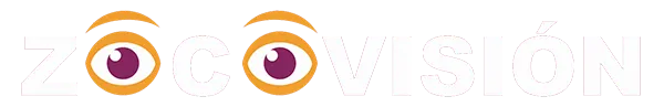 ZOCOVISION